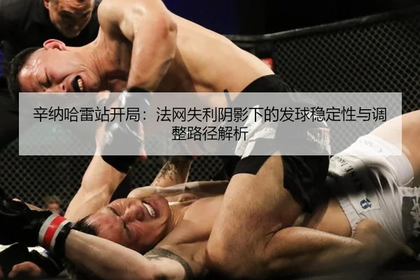 xin-na-ha-lei-zhan-kai-ju-fa-wang-shi-li-yin-ying-xia-de-fa-qiu-wen-ding-xing-yu-tiao-zheng-lu-jing-jie-xi-2-355.jpg